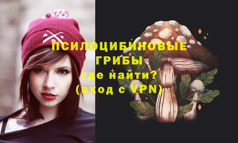 дарнет шоп  omg зеркало  Псилоцибиновые грибы Psilocybine cubensis  Саратов 